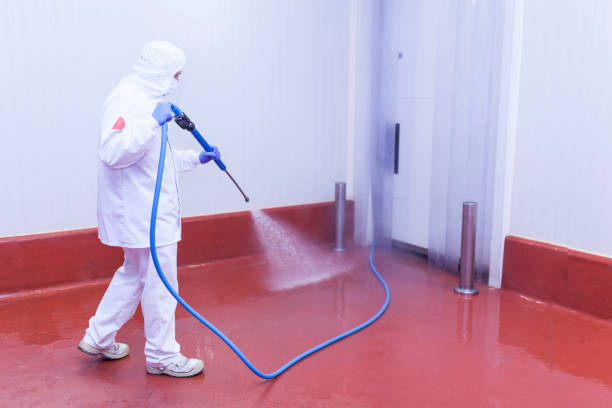 Best Patio and Deck Pressure Washing  in Stinnett, TX
